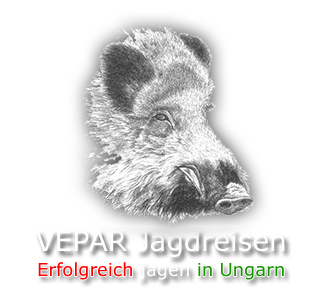 Vepar Jagdreisen Erfolgreich jagen in Ungarn